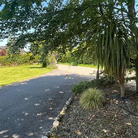 Graiguenamanagh Homestay Экстерьер фото