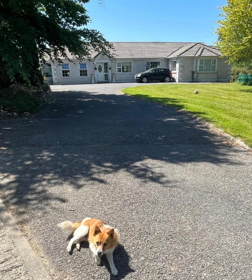 Graiguenamanagh Homestay Экстерьер фото